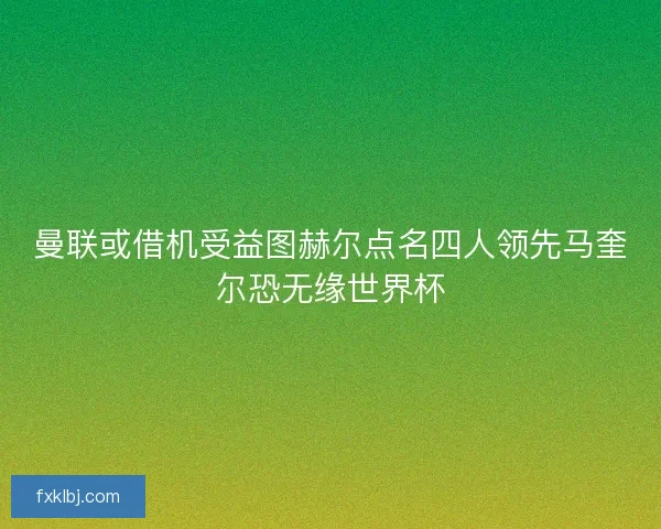 曼联或借机受益图赫尔点名四人领先马奎尔恐无缘世界杯